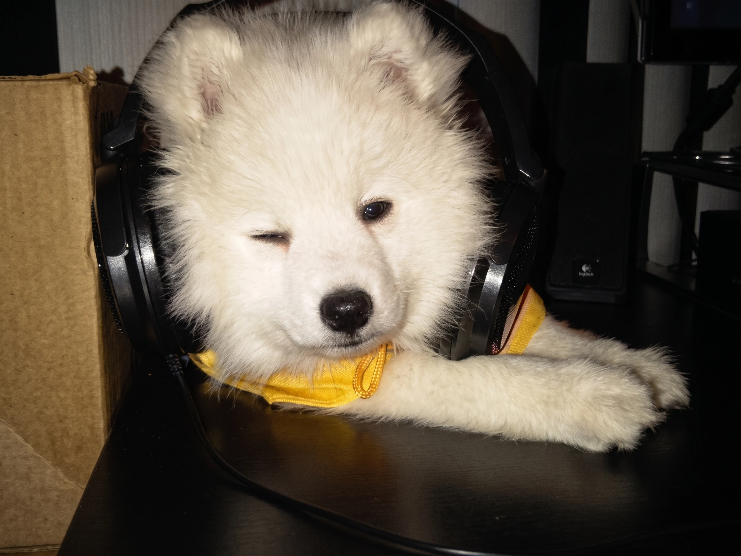 AI image upscale - after