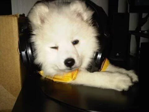 AI image upscale - before